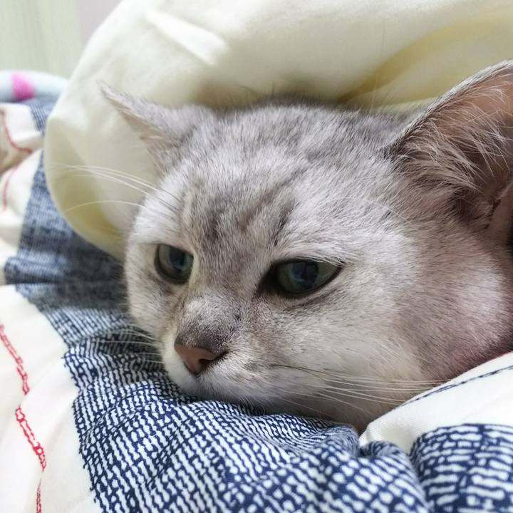 1ba05753 ab39 434f 9c88 08a06355ba19 1517838831974