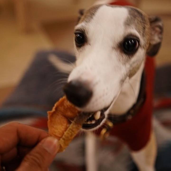 1ba07cb3 9f4c 4708 bf9a 956312cd4405 1544021957917