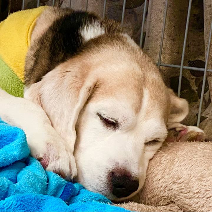 1ba09aca 24ff 464c 9d69 03df7cc6a705 1649494431745