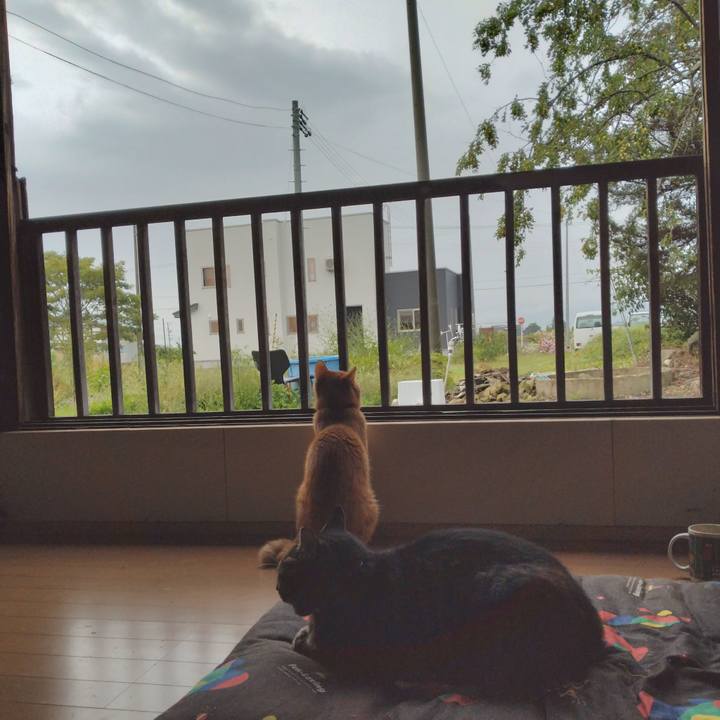 1ba0aee4 8454 49bf a305 1788dd7d274d 1663880292865