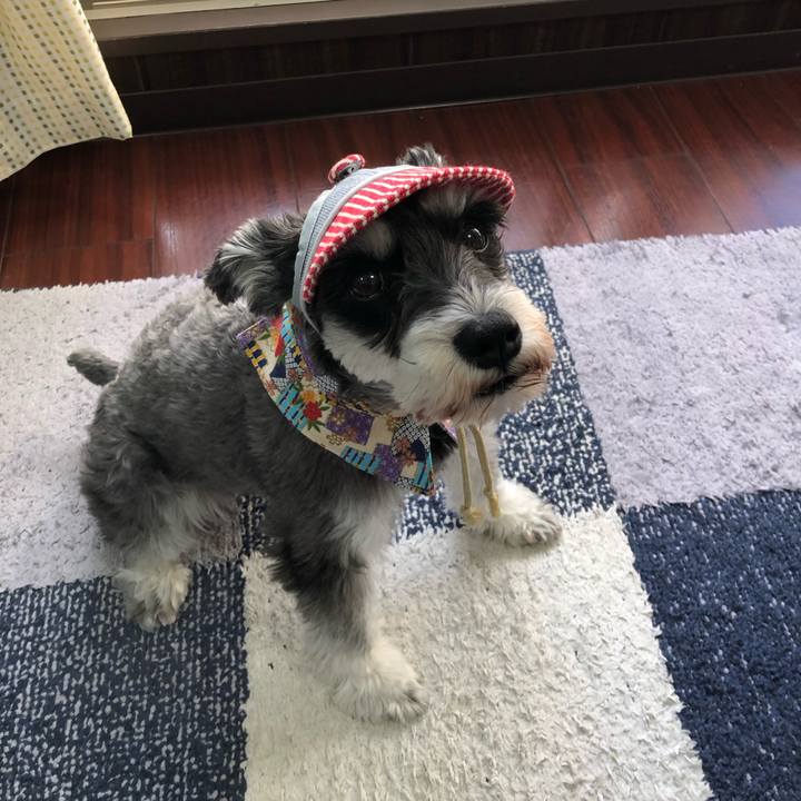 1ba0d623 4e3c 4fe2 b745 fc164a4cb8b8 1698486231921