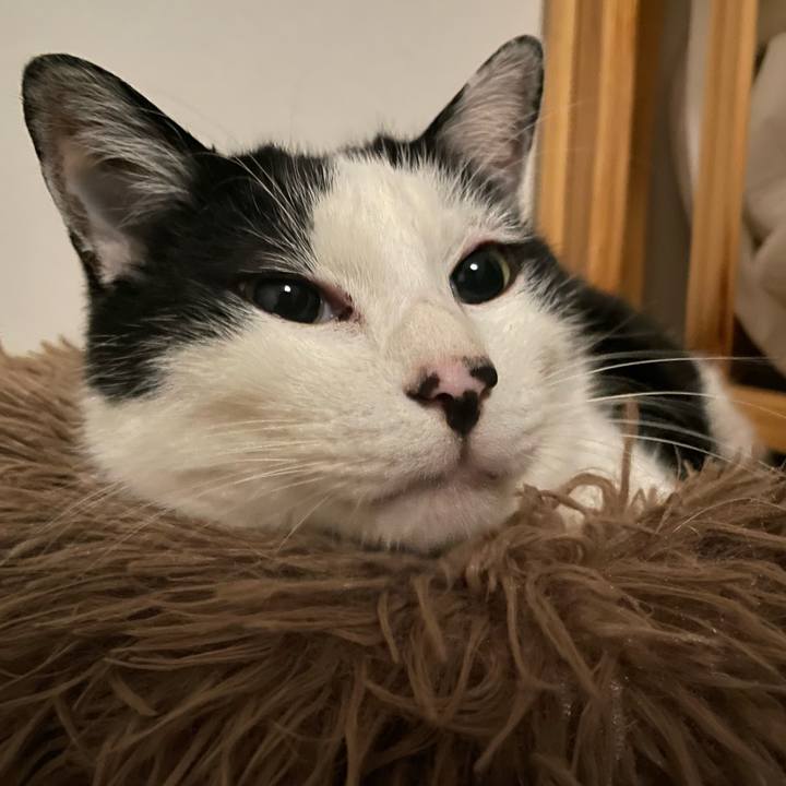 1ba0d74d 51ea 475d 85db 3d393e42308a 1709911605461