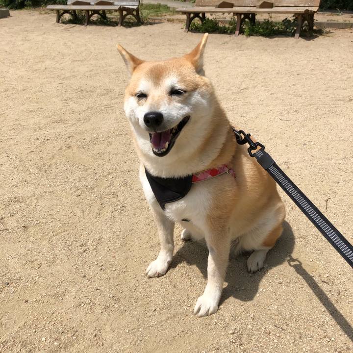 1ba0d9de 47f1 460a bb5a 335efed66061 1558045590531