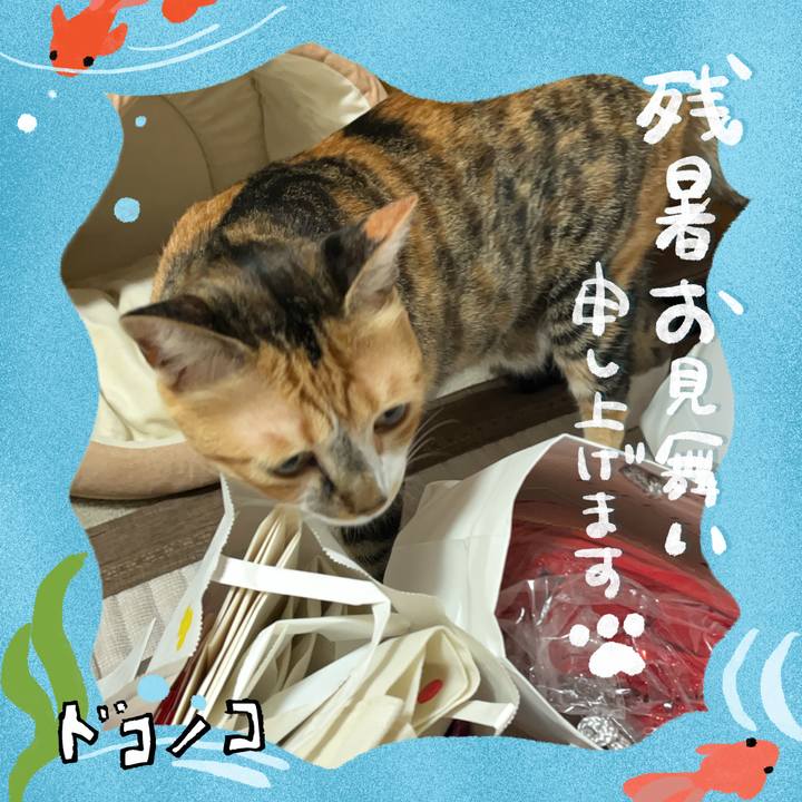 1ba0ed6c 8ada 42e1 aa45 0bff343ff000 1723501498600