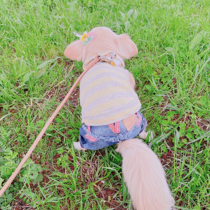 1ba11c62 2418 4d3d 9fa8 bb7d0ede9f55 1682067894980