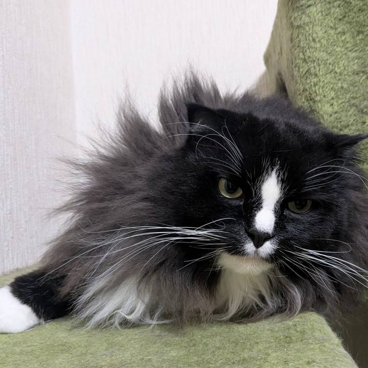 1ba13ce4 a9a8 49a4 9e5a b5d2d89ba89e 1764067278902