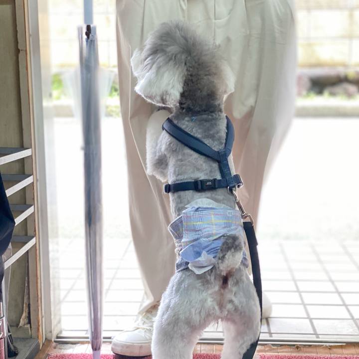 1ba176d1 be26 414c 873e d7b5246cbca8 1625733766276