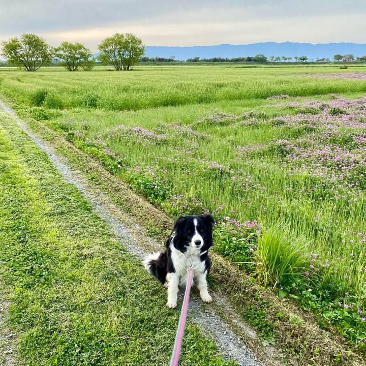 1ba18c66 081c 437b b547 840916ae28c6 1617838011870