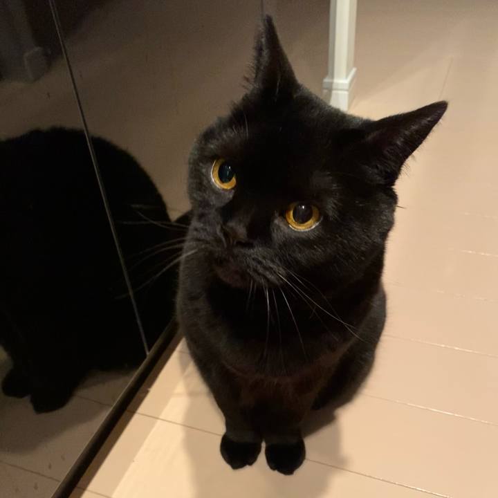 1ba1a115 cf46 4bcb bd69 121bee825595 1747657787610