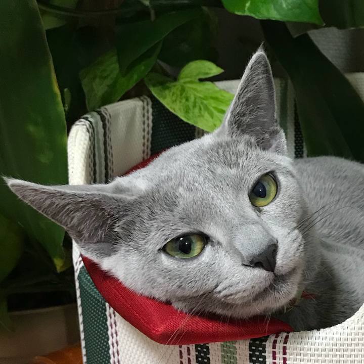 1ba1a459 d8ff 4ff3 8462 f5e078b00680 1511181731861