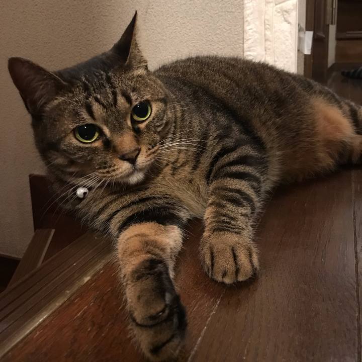 1ba1a76e fece 4e87 8ab6 539f12194d72 1563462520044