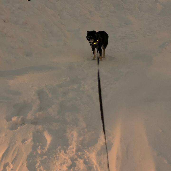 1ba1e200 101f 4b84 bbea 07a479dc1bb7 1579950880315