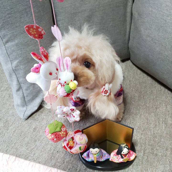 1ba24f7e d3a2 4f2c a513 ef05fa442ffc 1583238086411