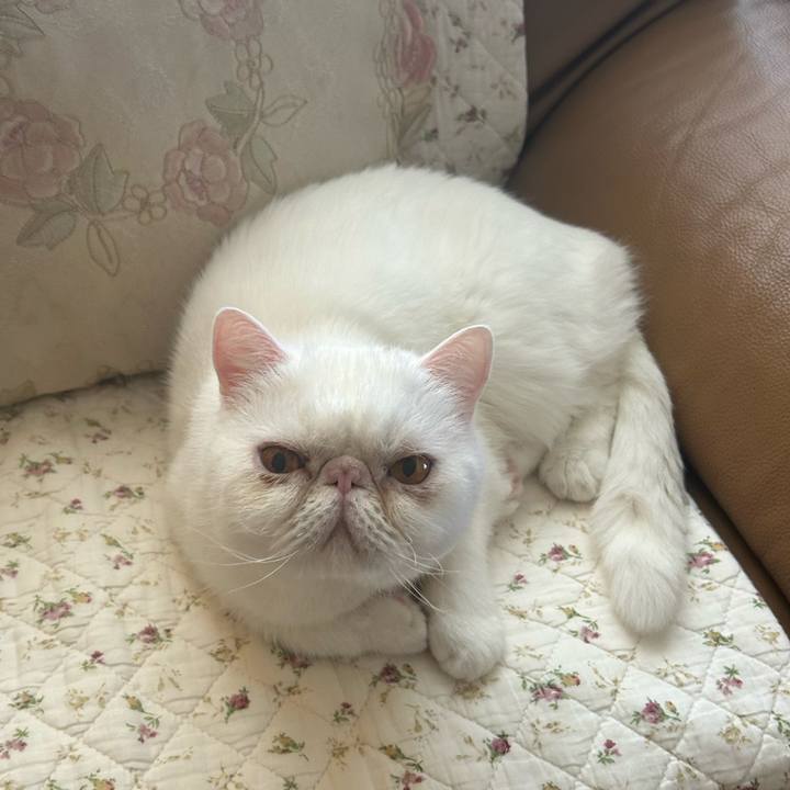 1ba25253 881a 4e75 8c99 eeac82e0b8bb 1728726140268