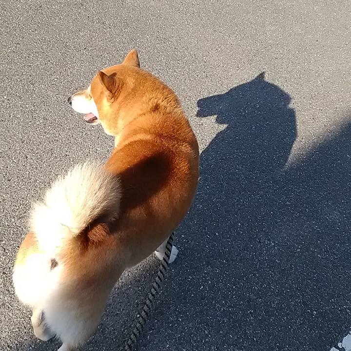 1ba27a87 8c36 404c ae4a 5420a72c589a 1596412787299