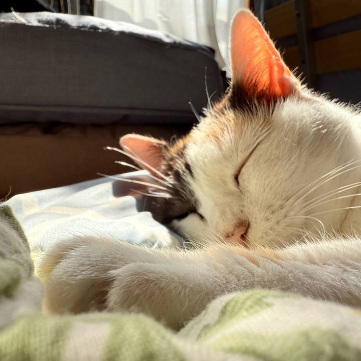 1ba2850e f384 4d95 a898 da2846e45b06 1754187034222