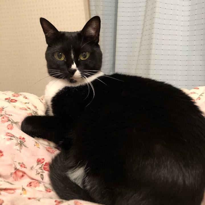 1ba28e08 c318 4718 b7c7 9f400c8a5864 1511994658127