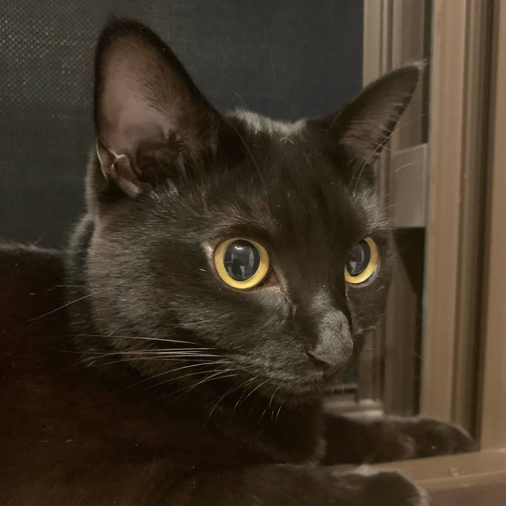 1ba32b43 4119 4dcd 94dc dd3b1054a2aa 1567851761432