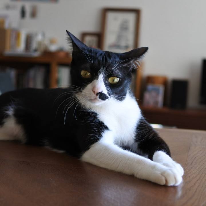 1ba32e97 4eef 49b1 a157 ae978682fe23 1751378854224