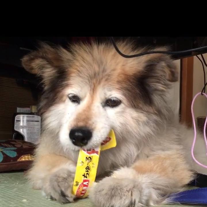 1ba34297 eb2d 4de5 acee bd488f8384c2 1564596584984