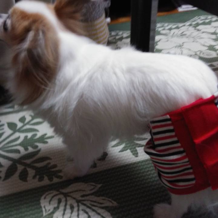 1ba357d8 ed4b 4911 b891 de91fb5652bd 1535881816211