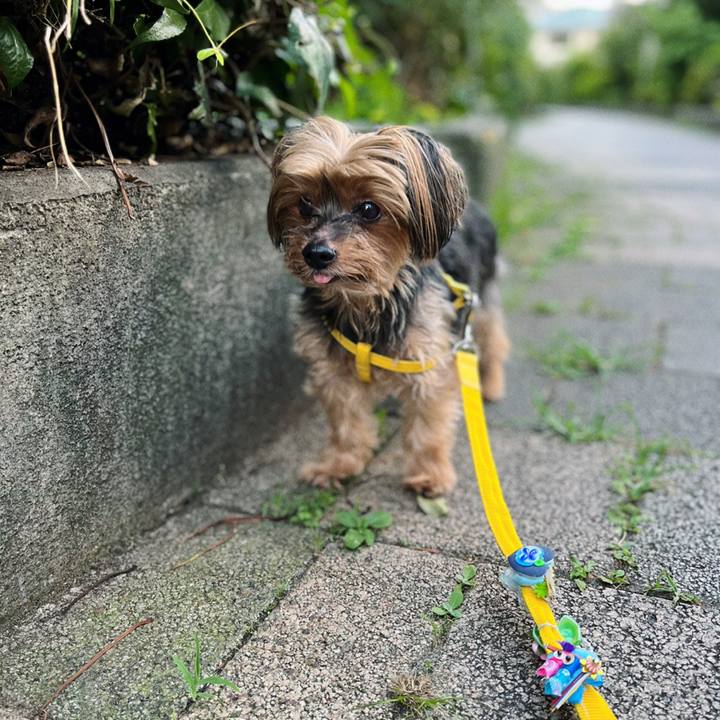 1ba3680c 2c8f 401c 85a6 ff9c6fc1f8bb 1656323654548