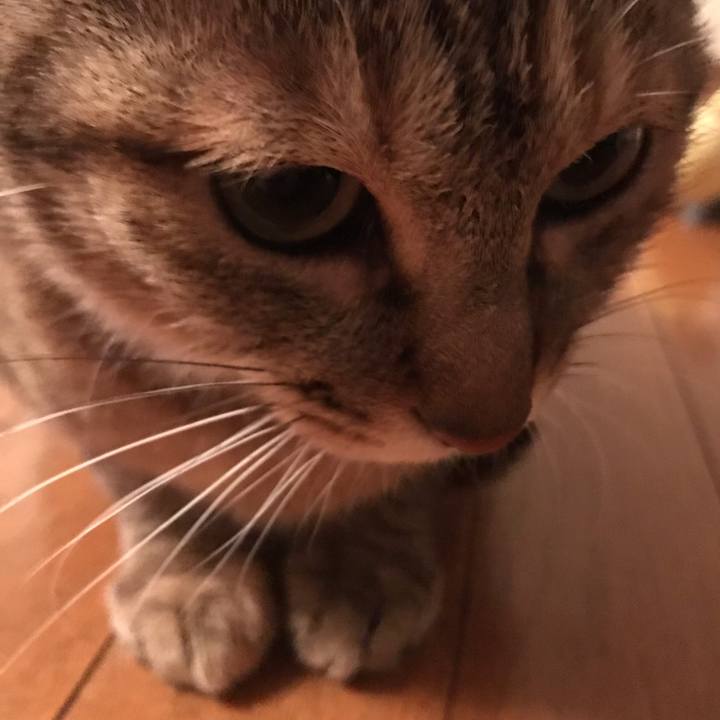 1ba36dfa b2a3 40b3 a95f 491267a4a2c9 1584183439447