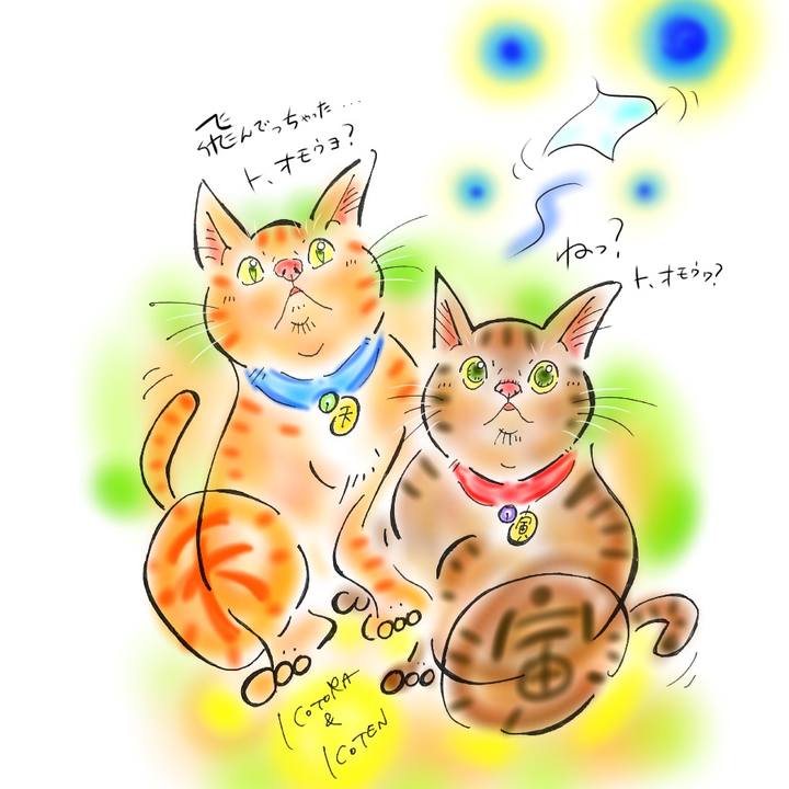 1ba394ea b169 4470 803b 89d457b752f0 1595513628569