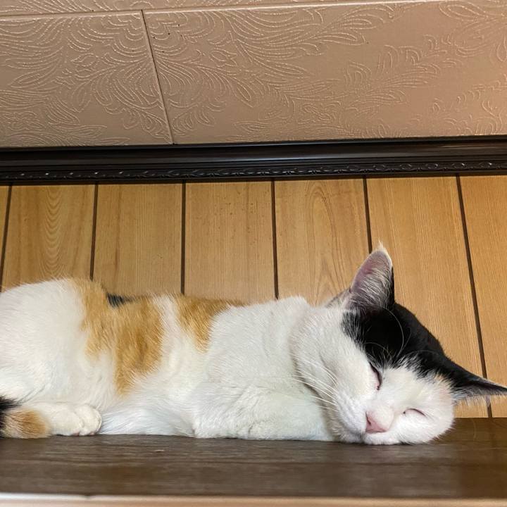 1ba3cac3 f7d3 4cc6 994c 764dfb88ac23 1643320715990