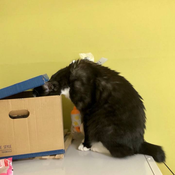 1ba3e23e 7105 4c39 8ba6 21c785b31a1e 1586663349469