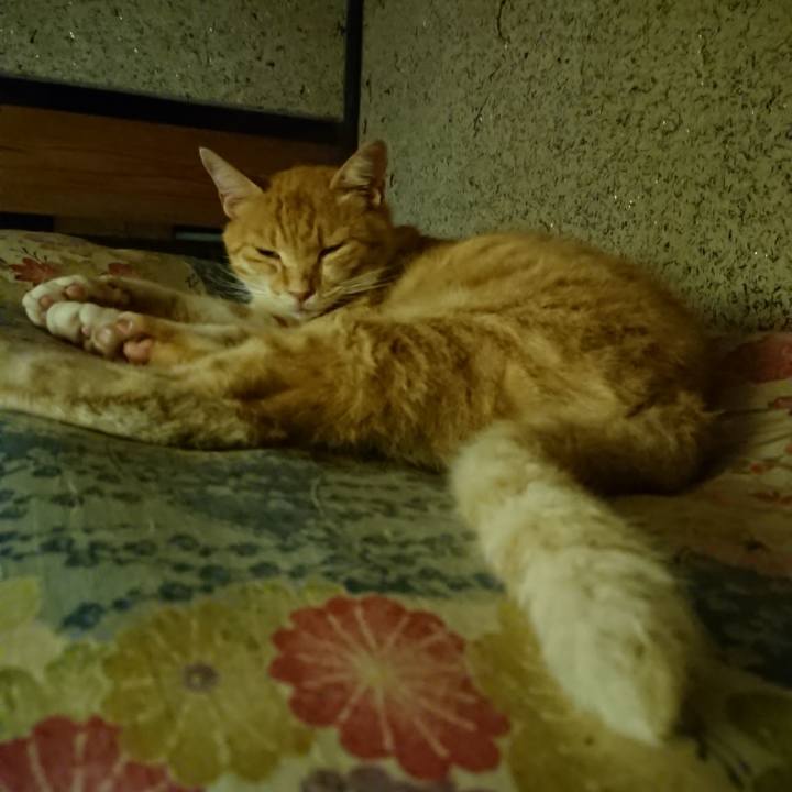 1ba43cff cd55 4dff b877 1b331c97b7f0 1595335381522