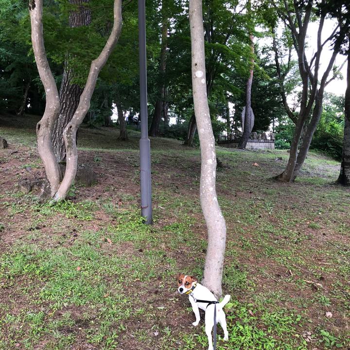 1ba453a1 808c 49fc b59d 6ebec0937fb8 1531135331834