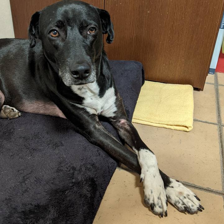 1ba45f17 bc5f 4314 a313 23862e3362ad 1643713579723