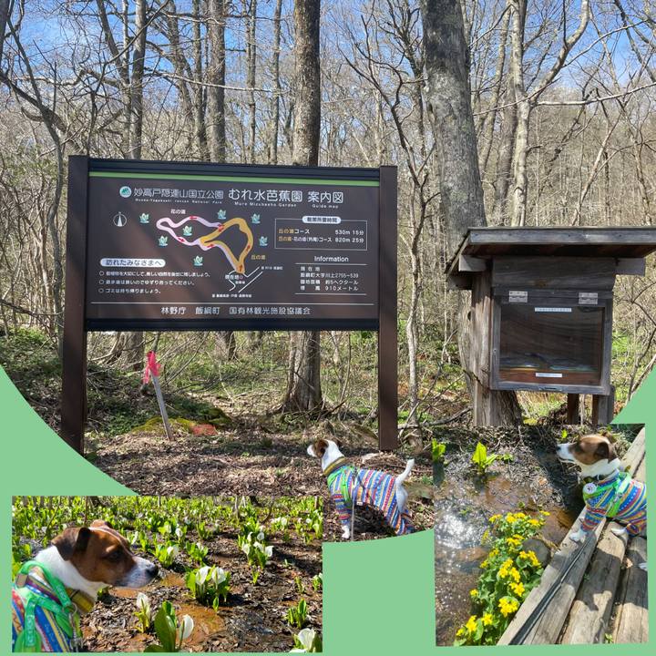 1ba4ac8c 278e 4e35 8785 25ba96bd2751 1681989407529