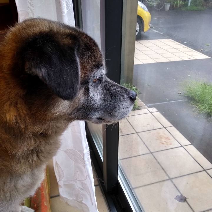 1ba4b9fe 200e 40ca 8868 480b5c25bd76 1567982511787