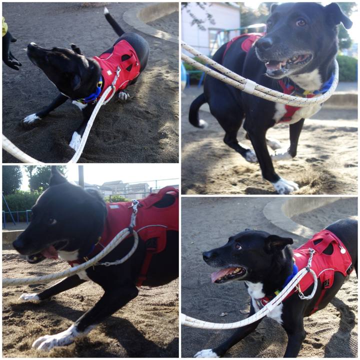 1ba520bc 9eb4 4d20 8e1d 95e5b7a3782d 1667697750669