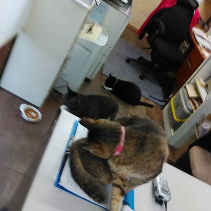 1ba53c36 dcfa 4a15 86d1 1b285a828241 1567121469653