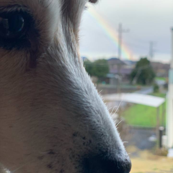 1ba58a41 d594 41ba b8f1 4af91e478e37 1584715763971