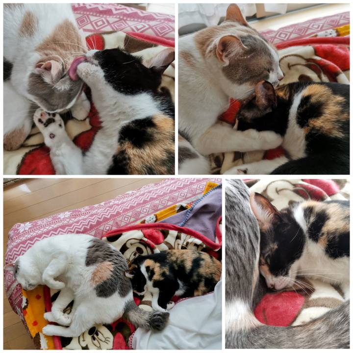 1ba59492 e101 4f1f 82a4 68b444eca38e 1678247624401