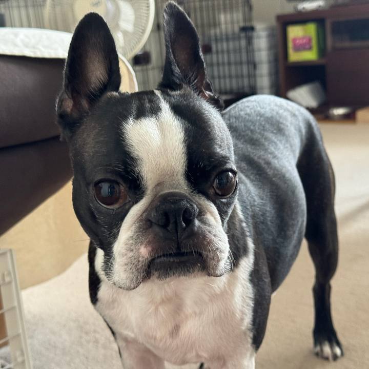 1ba59a2c 57dd 4544 ab4e cf17427c51f7 1722861169549