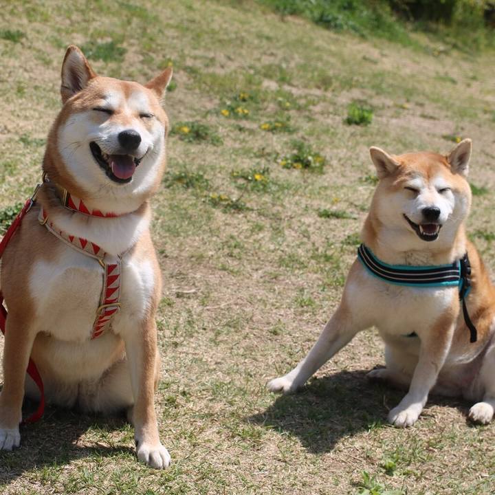 1ba5b866 989e 4c26 a000 6839552ef857 1523676761384