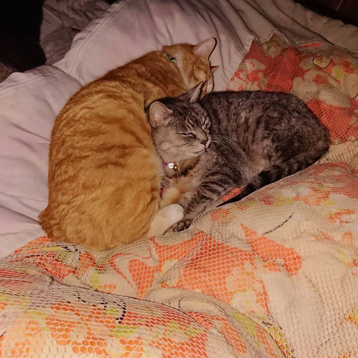 1ba5f13b 3da4 4233 86e4 6dc92bce0eb1 1581351557735