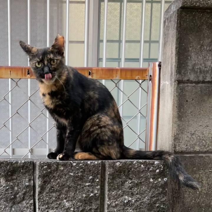 1ba60baa b89e 424e 8293 d6cf305d97a2 1691410639407