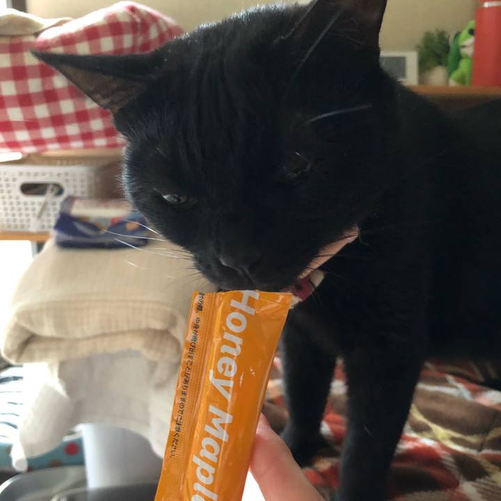 1ba63171 38c4 4190 8e4d 9ba42b7b1a7d 1604709093026