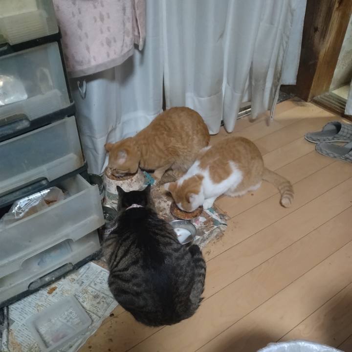 1ba69deb 3a86 4d11 8cbe 36ea0cff4278 1761086636060