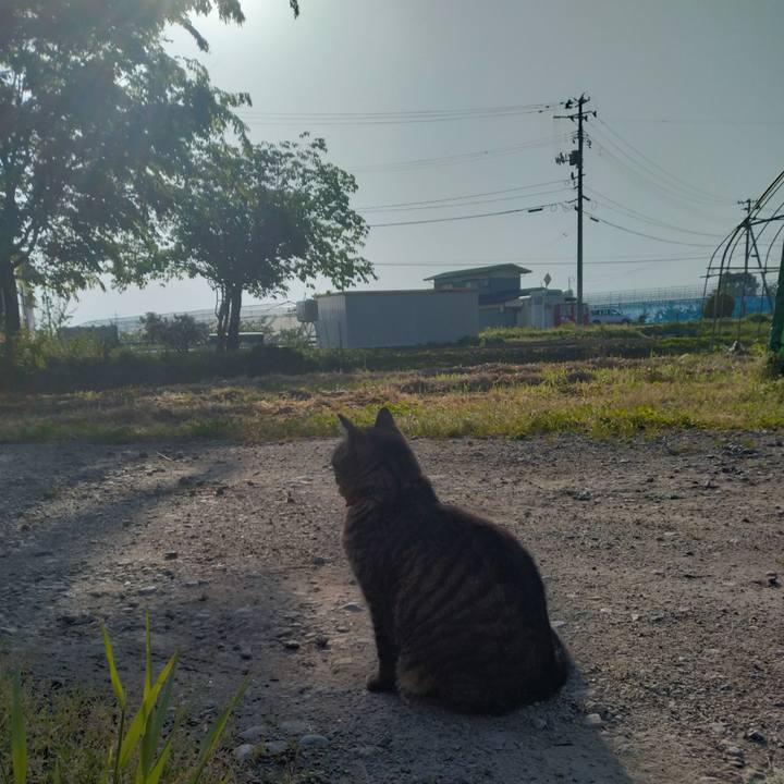 1ba6b96c bcbb 4475 a5d6 59b4bc628eb5 1684363183622