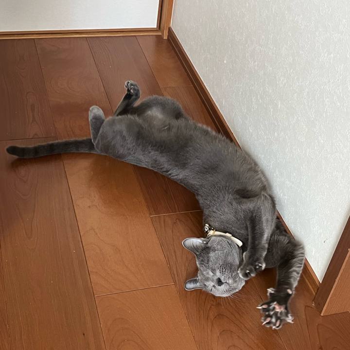 1ba6c627 e5ac 4d34 aa46 ee68f2b25ea2 1693704024307