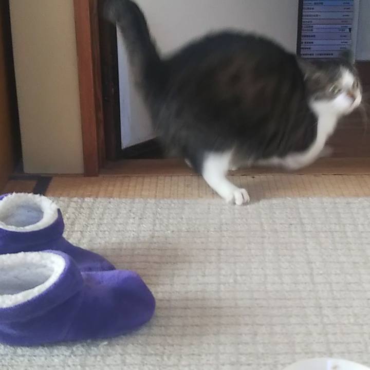 1ba6ca72 cb05 4fa3 9ba7 82730cc47e03 1608178756004