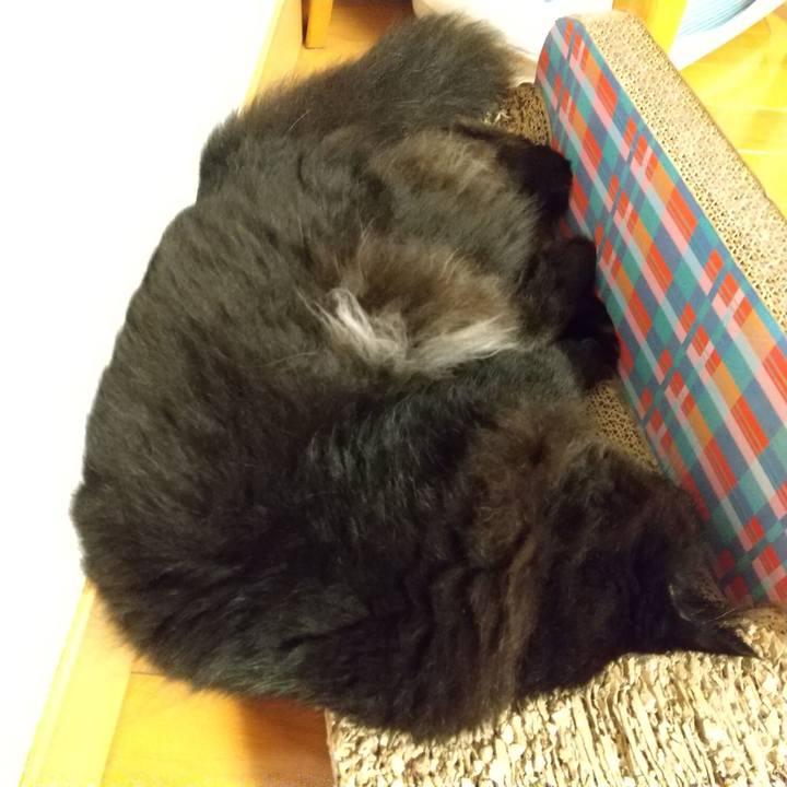 1ba6da12 15c7 471a aba5 de05d454b03b 1595596751109