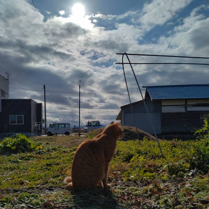 1ba6dc83 60e4 4e47 b8c4 6780c1aac629 1670644300106